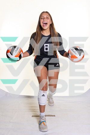 SPX_VB_-(BROWN)-33