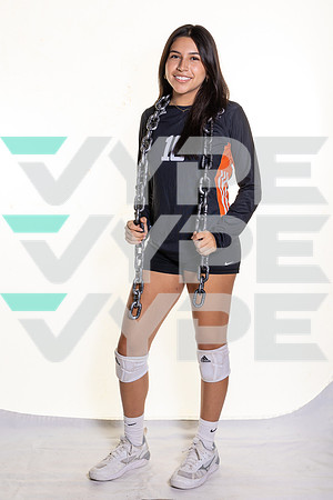 SPX_VB_-(BROWN)-39