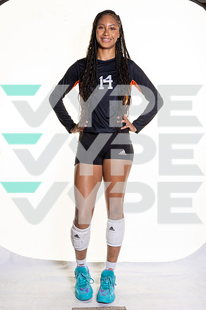 SPX_VB_-(BROWN)-9
