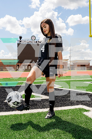 HASTINGS_GSOC-()-00810