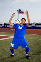 ALDINE_SOC-(BROWN)-570