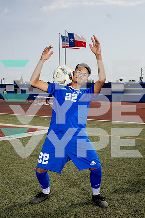 ALDINE_SOC-(BROWN)-570