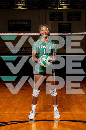 COOPER_VB-(COLLIER)-5