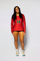 0F9A0117-WOODLANDS_VOLLEYBALL-(BROWN)
