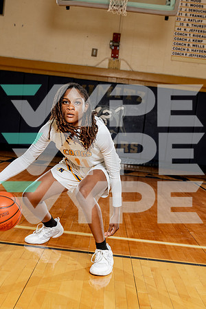 NIMITZ_GBB-(COLLIER)-725