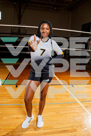 EISENHOWER_VB-(COLLIER)-10