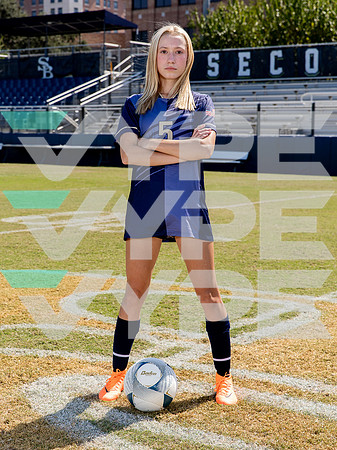 SBS_GSOC-(BROWN)-00002170-poster