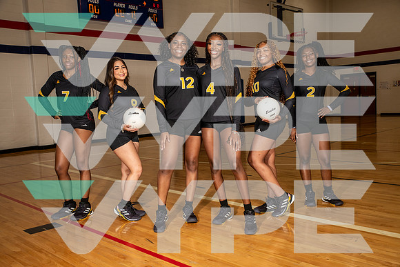 EISENHOWER_VOLLEYBALL_0146-(BROWN)