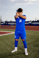 ALDINE_SOC-(BROWN)-580