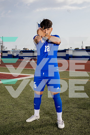 ALDINE_SOC-(BROWN)-580
