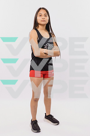 LANGHAM CREEK_TF-(BROWN)-133