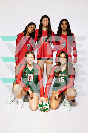 0F9A0186-WOODLANDS_VOLLEYBALL-(BROWN)