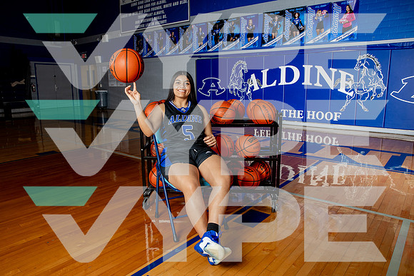 ALDINE_GBB-(BROWN)-398