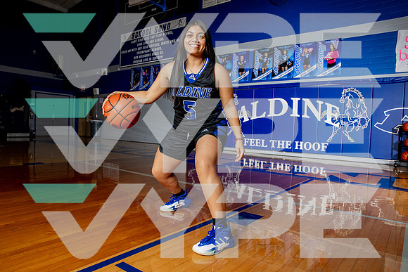 ALDINE_GBB-(BROWN)-401
