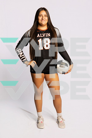 0F9A0749-ALVIN_VOLLEYBALL-(BROWN)