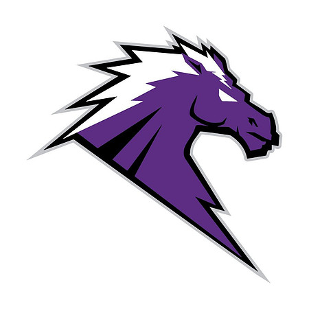 Fulshear_Chargers_logo_notext