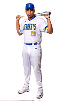 KLEIN_HIGH_BSBL-(BROWN)-00002918