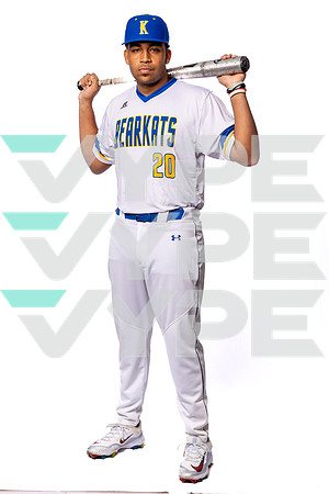 KLEIN_HIGH_BSBL-(BROWN)-00002918
