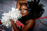 TERRY_CHEER_Harmony Jones-(BCC)-3