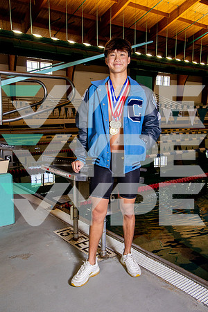 CLEMENTS_SWIM_Austin Pan-(BROWN)
