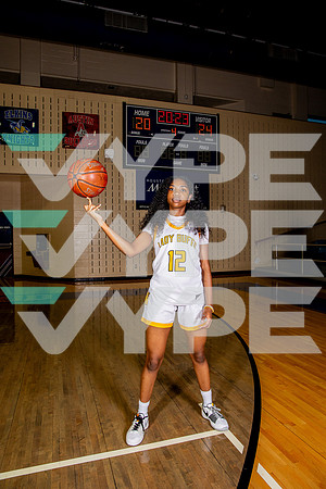 MARSHALL_GBB_-(BROWN)-2