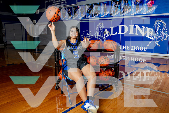 ALDINE_GBB-(BROWN)-395