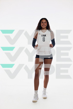 KLEIN OAK_VB-(COLLIER)-11
