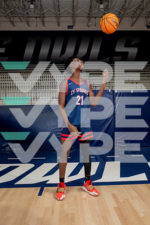 CYPRESS_SPRINGS_BB_-(WRIGHT)-22