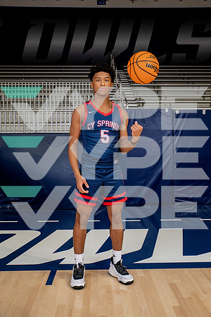 CYPRESS_SPRINGS_BB_-(WRIGHT)-5