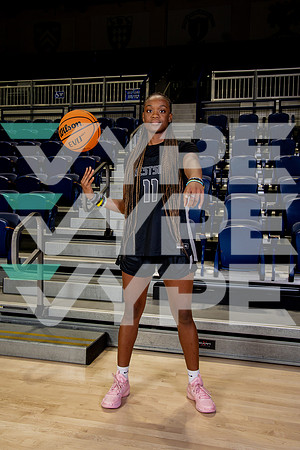 WESTSIDE_GBB_-(BROWN)-14