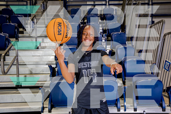 WESTSIDE_GBB_-(BROWN)-4
