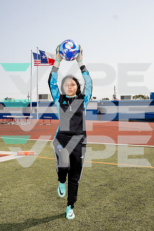 ALDINE_GSOC-(BROWN)-528