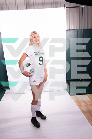 TWCA_GRAPHICS_GSOC__24-(VYPE)