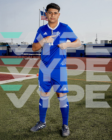 ALDINE_SOC-(BROWN)-594 8x10