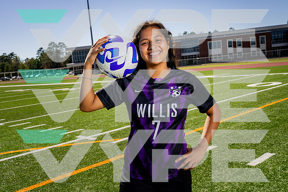 WILLIS_GSOC_7 Chelsea Mentado-(BCC)-2