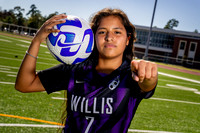 WILLIS_GSOC_7 Chelsea Mentado-(BCC)-3