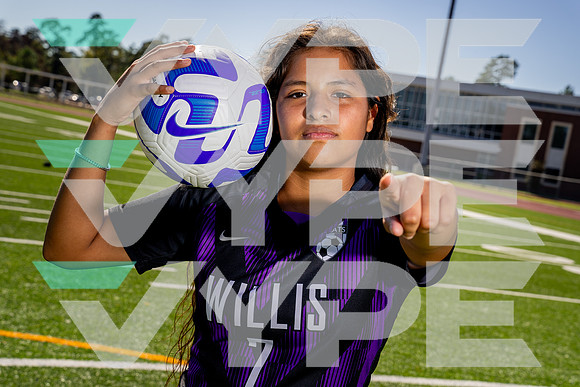 WILLIS_GSOC_7 Chelsea Mentado-(BCC)-3