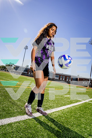 WILLIS_GSOC_7 Chelsea Mentado-(BCC)-7