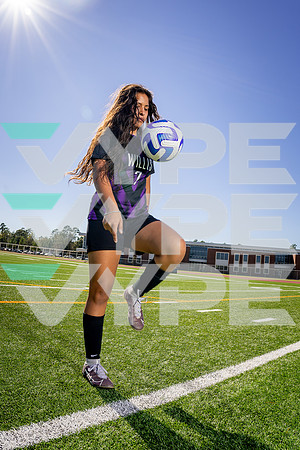 WILLIS_GSOC_7 Chelsea Mentado-(BCC)-4
