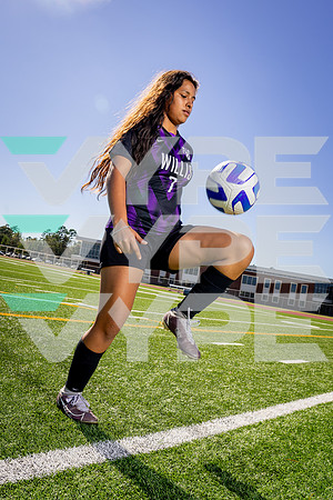 WILLIS_GSOC_7 Chelsea Mentado-(BCC)-6