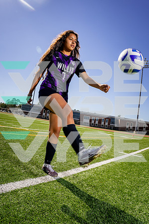 WILLIS_GSOC_7 Chelsea Mentado-(BCC)-8