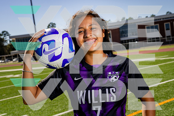 WILLIS_GSOC_7 Chelsea Mentado-(BCC)