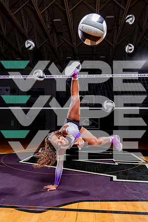 WILLIS_VB-(COLLIER)-68