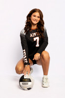0F9A0714-ALVIN_VOLLEYBALL-(BROWN)
