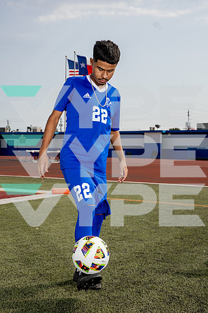 ALDINE_SOC-(BROWN)-569