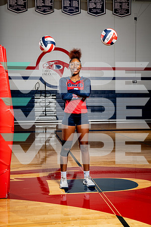 DAVIS_VB-(COLLIER)-14