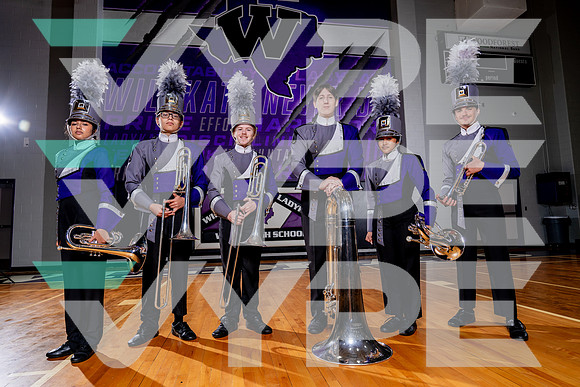 WILLIS_BAND-(COLLIER)-15