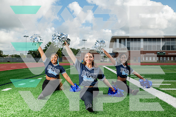 ELSIK_DANCE-(WRIGHT)-5