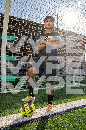 SPRING_WOODS_SOC__39-(HARTOJO)