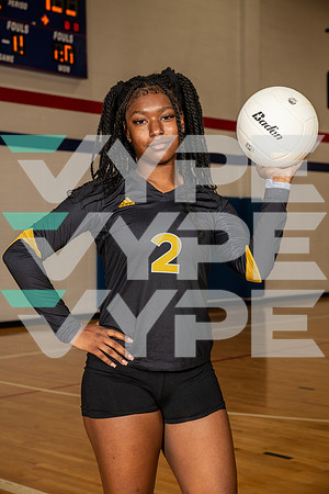 EISENHOWER_VOLLEYBALL_0173-(BROWN)